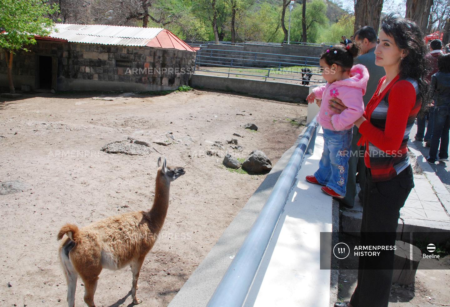 Կենդանաբանական այգու փոքրիկ այցելուները